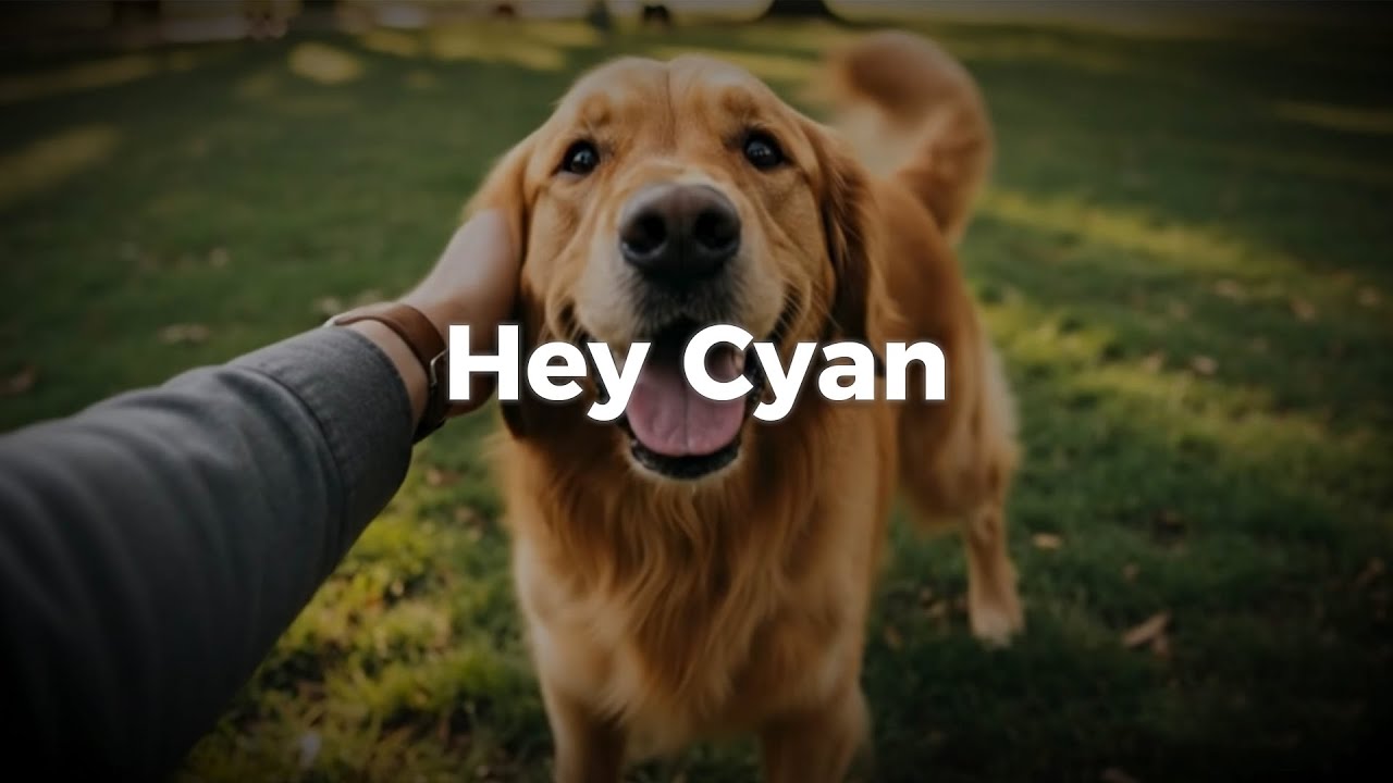 DPVR G1 助您轻松将日常生活变成电影