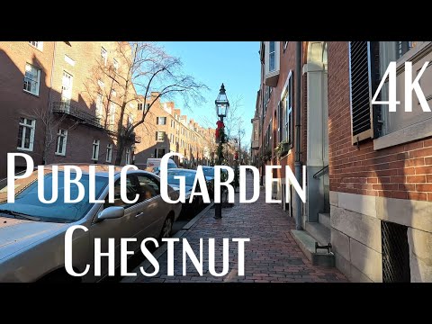 Walking in my Favorite Neighborhood in Boston (Public Garden, Chestnut st.)