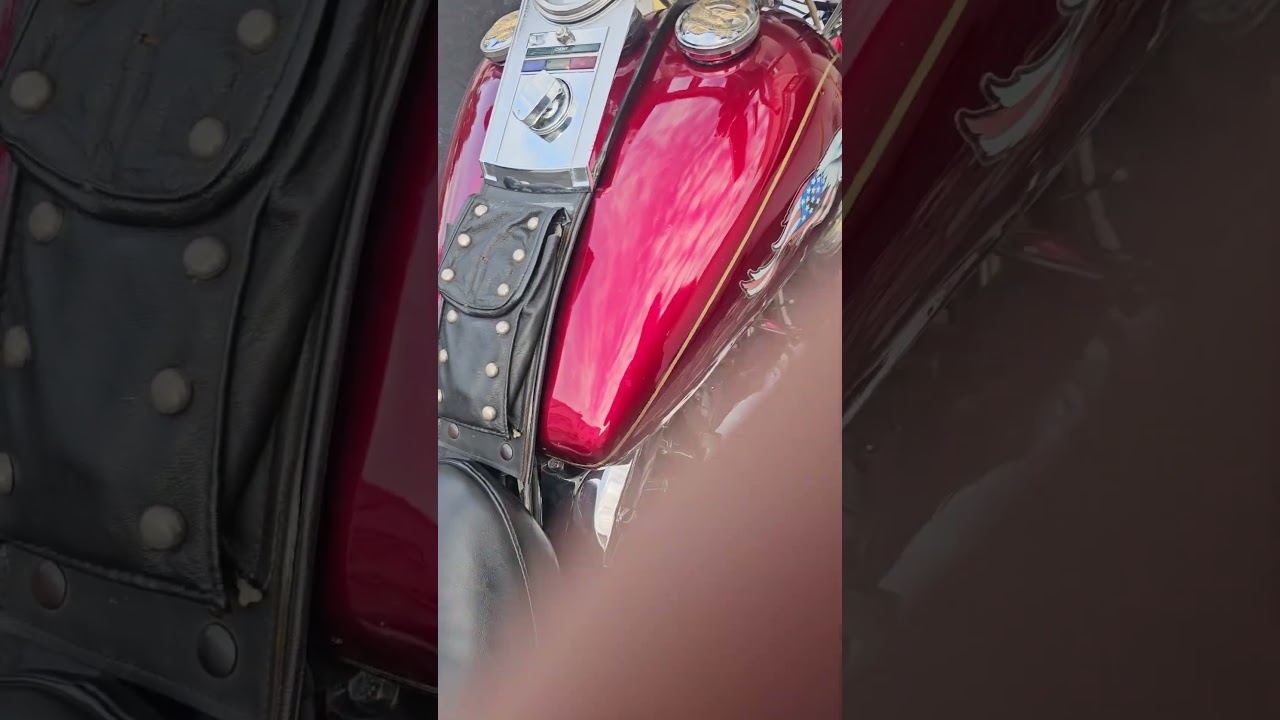 1994 Special Construction Chopper for Sale in Antioch, IL (Item 1248009)