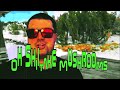 Oh Shiitake Mushrooms Intros 2016 2025