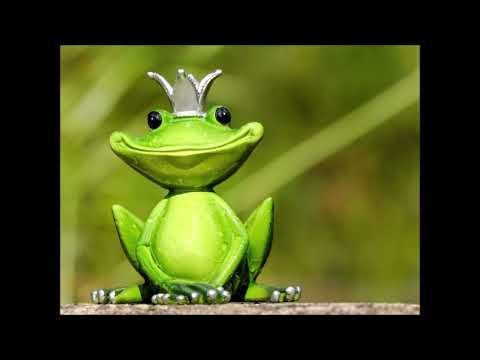 Pojedi tu žabu - Brajan Trejsi - odlomak