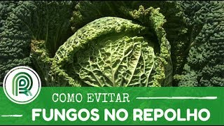 Miniatura do vídeo