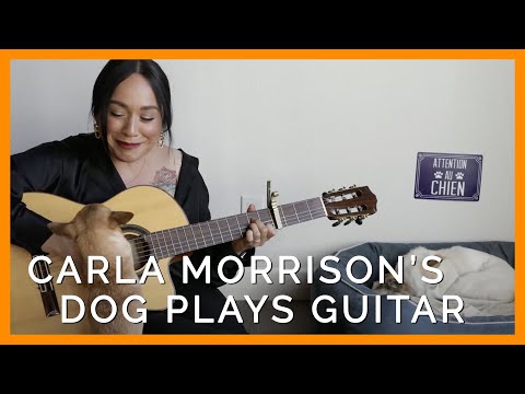 Watch Carla Morrison’s Dog Try to Play Her Guitar in This Adorable Video!