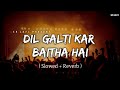 Dil Galti Kar Baitha Hai - Lofi (Slowed + Reverb) | Jubin Nautiyal | SR Lofi
