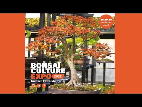 BONSAI CULTURE EXPO 2022