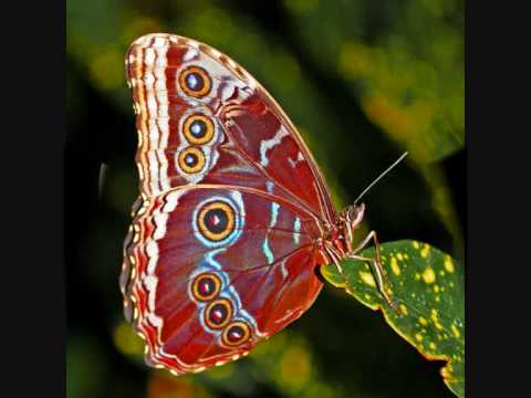 Round and round - G.M.S. vs. Wrecked machines