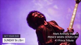 Prince - Revelation