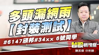 多頭漏網雨【封裝測試】#6147頎邦#34xx 6號同學｜小武哥投資事務所｜陳武傑 (圖)