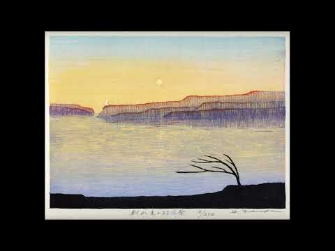 Quadrant - Disgravity (R & S Records, 1993)