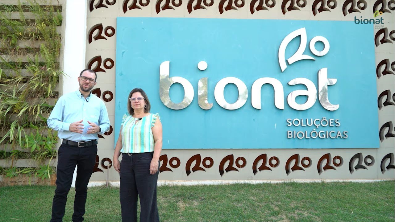 Inovação: Desenvolvimento do Sprinter