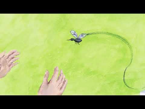 MOSQUITOES - Everyday Me Children's Book - Animated Poetry for kids Read Aloud