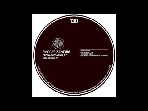 Rhoger Zamora & Gustavo Dominguez - The Perfect Fusion (Alberto D'meo Remix)