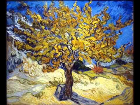 Metropolis - Sükut-u Hayal