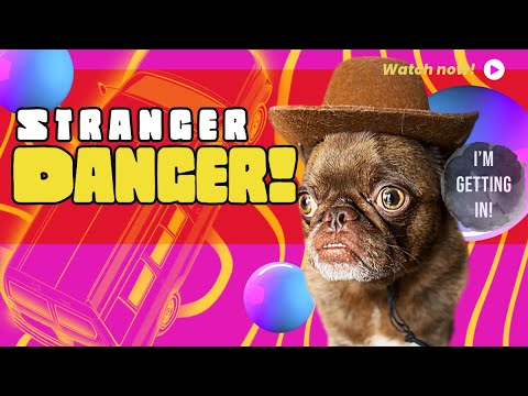 1 Rule… Don’t get in strangers vans🚐