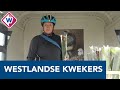 Westlandse kwekers en boeren verkopen steeds meer direct aan de klant - OMROEP WEST