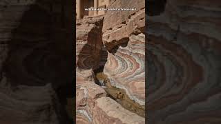 Petra: The City Carved Into Rose-Red Stone #shortsfeed #travel