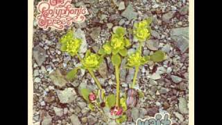 The Polyphonic Spree - "Sonic Bloom"
