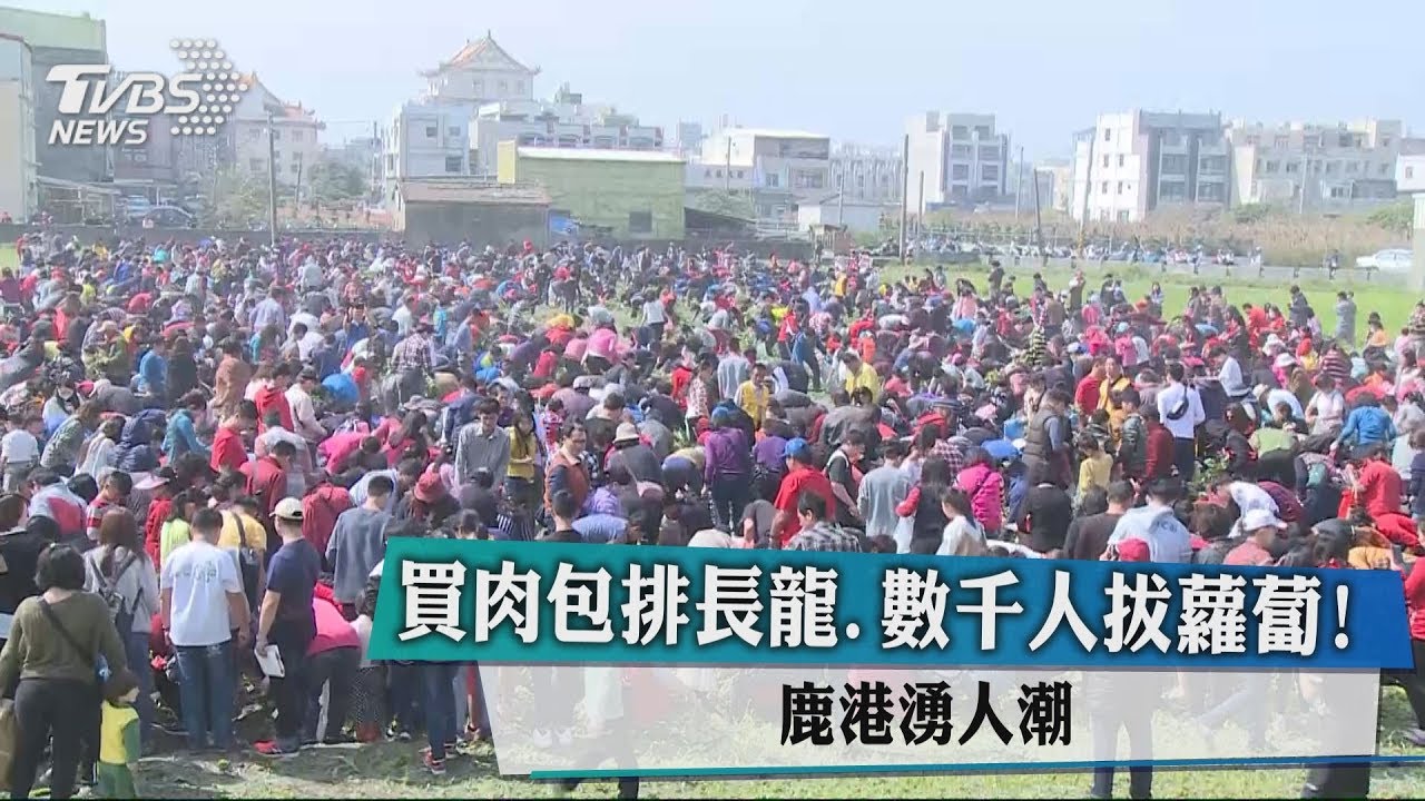 買肉包排長龍、數千人拔蘿蔔! 鹿港湧人潮