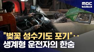 벚꽃 성수기도 포기‥도로 위 생계형 운전자들 또, 한숨 (2026.04.13/뉴스데스크/MBC)