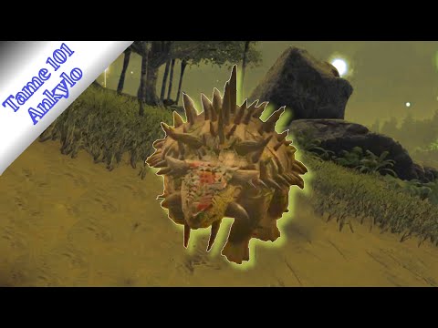 Taming 101 : Ankylosaurus Ankylo!! | Ark Survival Evolved