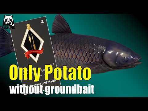 Russian Fishing 4 - Old Burg - Grass Carp with Simple Baits without Groundbait #rf4
