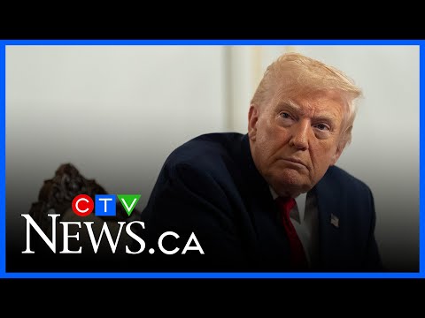 ‘You're a stupid person’ | Trump lashes out at female reporter who asked question about D.C. shooter