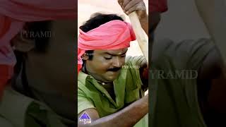 Download lagu தூரத்து | Thaayundu Thanthai Video Song | Koyil Kaalai Movie Song | Vijayakanth | Kanaka | #ytshorts mp3