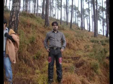 Great Trip of Zeerak Technology