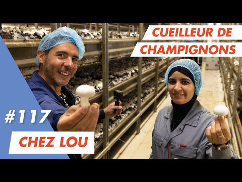 Je bosse comme cueilleur de champignons chez Lou avec Fatima