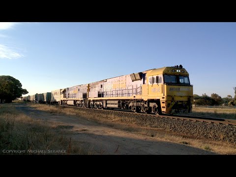 1PM5 Pacific National Container Freight Train (29/12/2021) - PoathTV Australian Railways