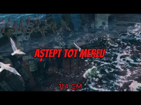 Aștept_tot_mereu_114CM