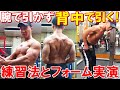 【脱初心者】背中のトレーニングが確実に効く！簡単な練習法と2種目のフォームを解説＆実演