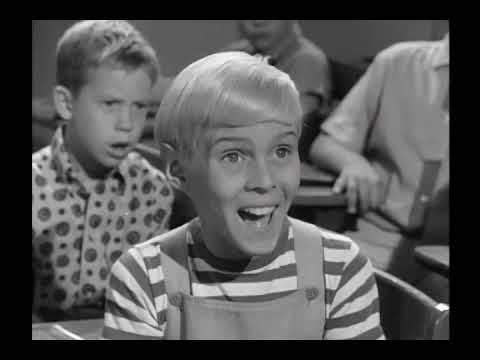 Dennis The Menace - S03E17 - Dennis Has A Fling