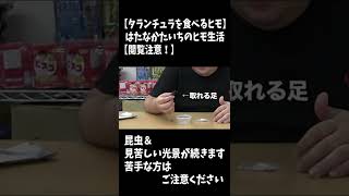 送られてきたタランチュラを食べてみた(本編は概要欄から) #shorts