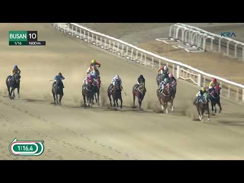 (Busan) 2026.01.16 R10