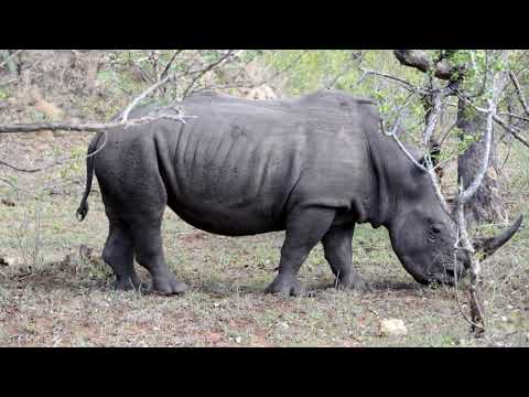 LYT - SE og slap af.  vol.9  Listen - see and relax