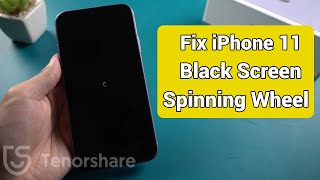 Fix iPhone 11 Black Screen Spinning Wheel (Full Guide)