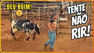 😂 TENTE NÃO RIR: VÍDEOS ENGRAÇADOS 2025 E MEMES