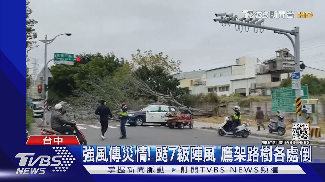 強風傳災情!颳7級陣風 鷹架路樹各處倒