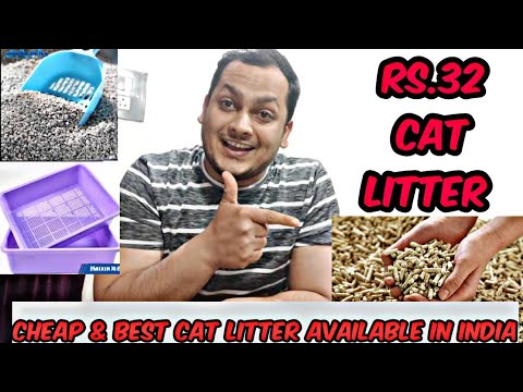 Wood Pellets As A  Cat Litter || Good Or Bad || Cheap And Best Cat Litter Available In India 🇮🇳 ||