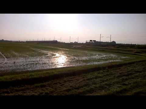 AV 35574 salerno - torino con 44' di ritardo e limitato a 230