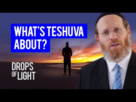 What is Teshuva About? (60 Sec) Rabbi Aharon Pessin