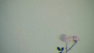 Download lagu Jangan rubah takdirku# sw mp3