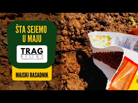 WHAT DO WE SOW IN MAY? MAY NURSERY (2022) [TRACE OF THE PLANT]