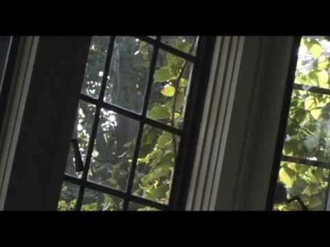 Running Scared: Fear, Worry, and the God of Rest