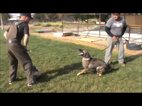 Targa - Protection at 16 months