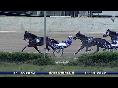 Aversa trotto 19 Marzo 2022 - 4° Corsa