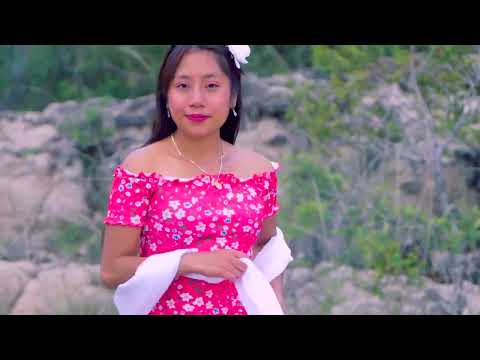 Te Me Vas / Corazón Mixteco [ Vídeo Oficial] .