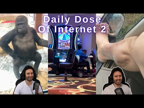 NymN reacts to Daily Dose Of Internet videos 2