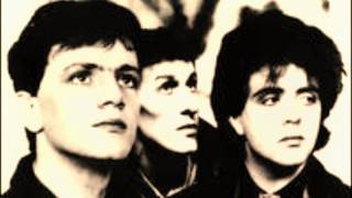 The Icicle Works - Love Hunt